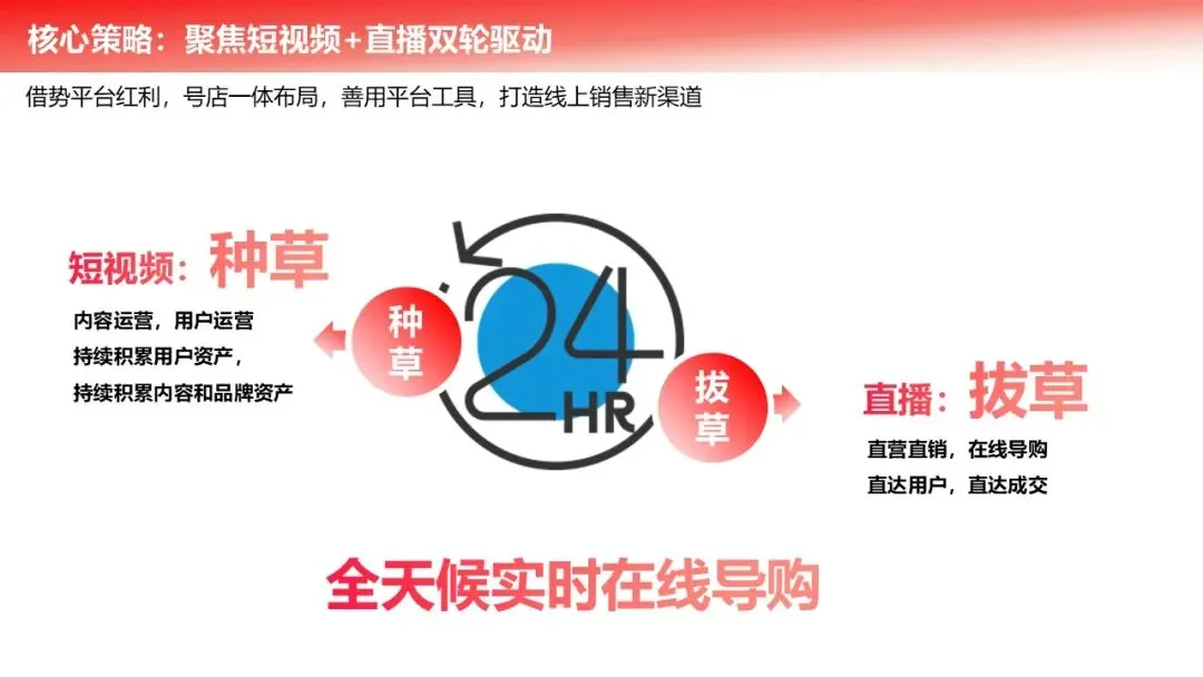 王心凌直播带货营销策划方案!