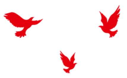 弘扬雷锋精神,共建整洁实验室 | 计算机科学与技术学院(软件学院)开展实验室志愿清扫活动