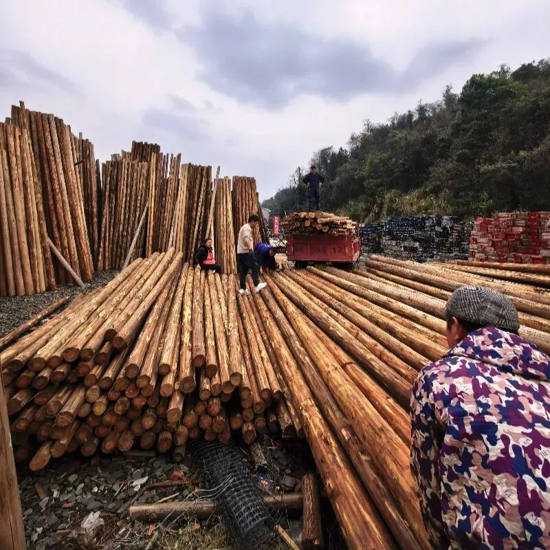 2026年市场上靠谱的涟源市屋面瓦工厂,究竟哪家才是你的优选?