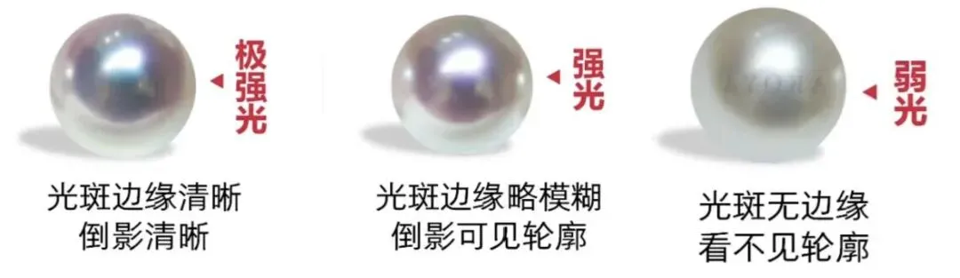 珍珠市场的秘密:揭秘诸暨珍珠分级的惊人内幕,差价高达3倍!