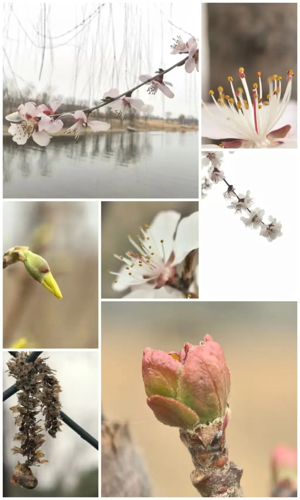 花开有声,股落无声:别让市场倒春寒,辜负了窗外的春天