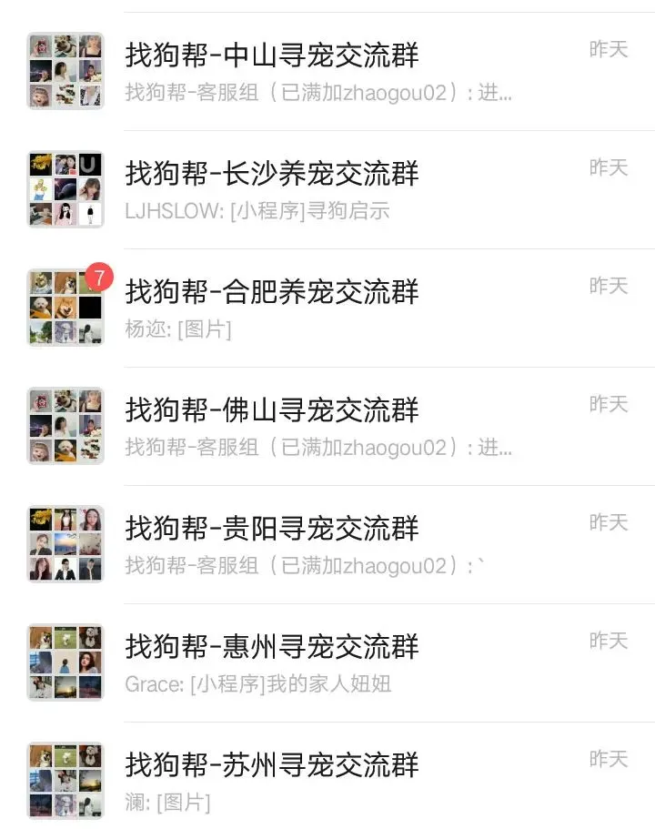 #莆田寻猫# 荔城区天妃路步云农贸市场西北侧约附近走失一只金吉拉,如有好心人看到或者收留请联系主人或本平台