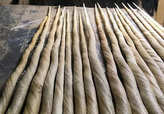 北京花鸟市场曾查获19根鱼牙,价值达490万,什么鱼牙齿这么贵?