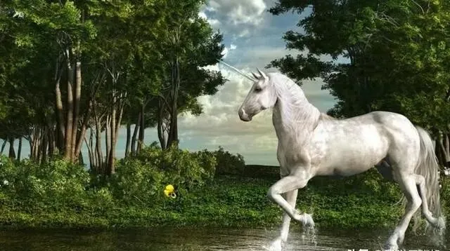 北京花鸟市场曾查获19根鱼牙,价值达490万,什么鱼牙齿这么贵?