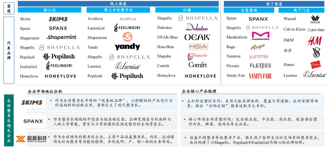 2026全球女士内衣市场洞察白皮书-全球女士塑身衣行业概览