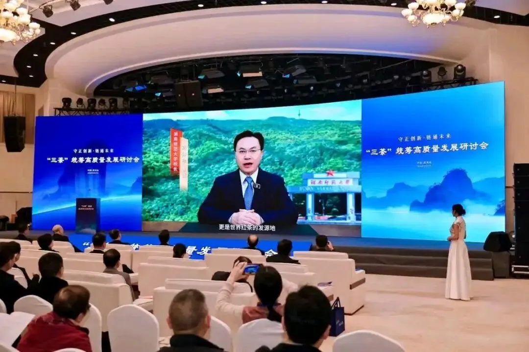 2026茶行业市场前景:中小企业破局与理想华莱龙头企业发展之路