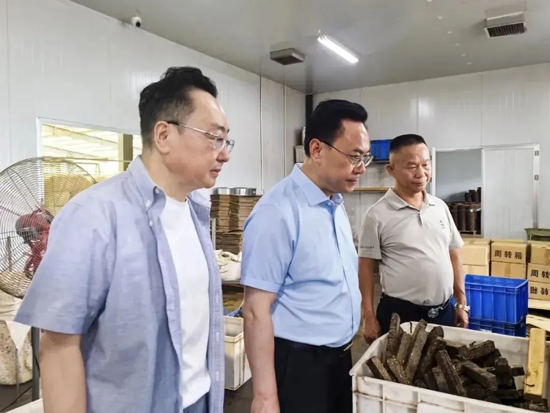 2026茶行业市场前景:中小企业破局与理想华莱龙头企业发展之路