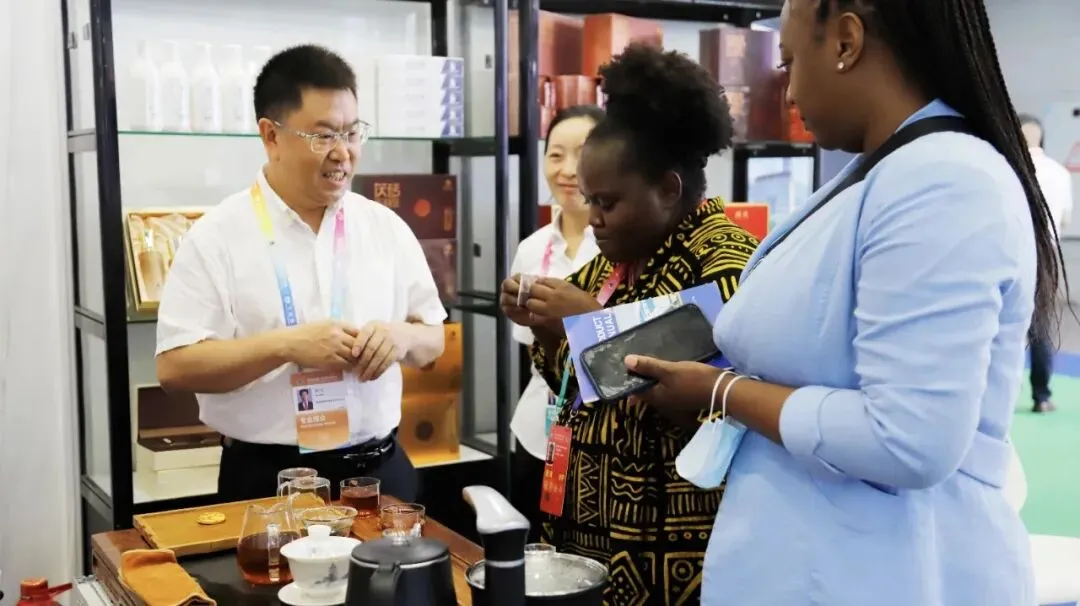 2026茶行业市场前景:中小企业破局与理想华莱龙头企业发展之路