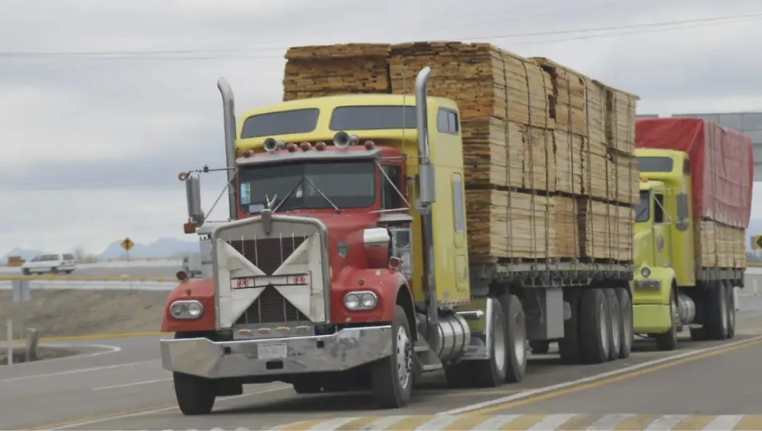 国际林木经济观察|2月拉丁美洲木业市场资讯