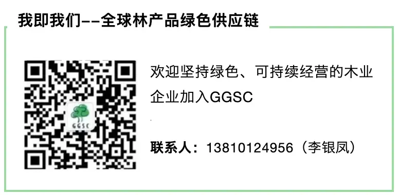 国际林木经济观察|2月拉丁美洲木业市场资讯