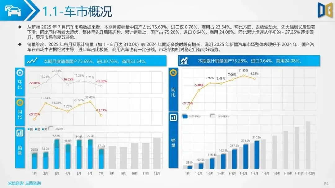 2025年新疆自治区汽车市场分析报告{附下载}