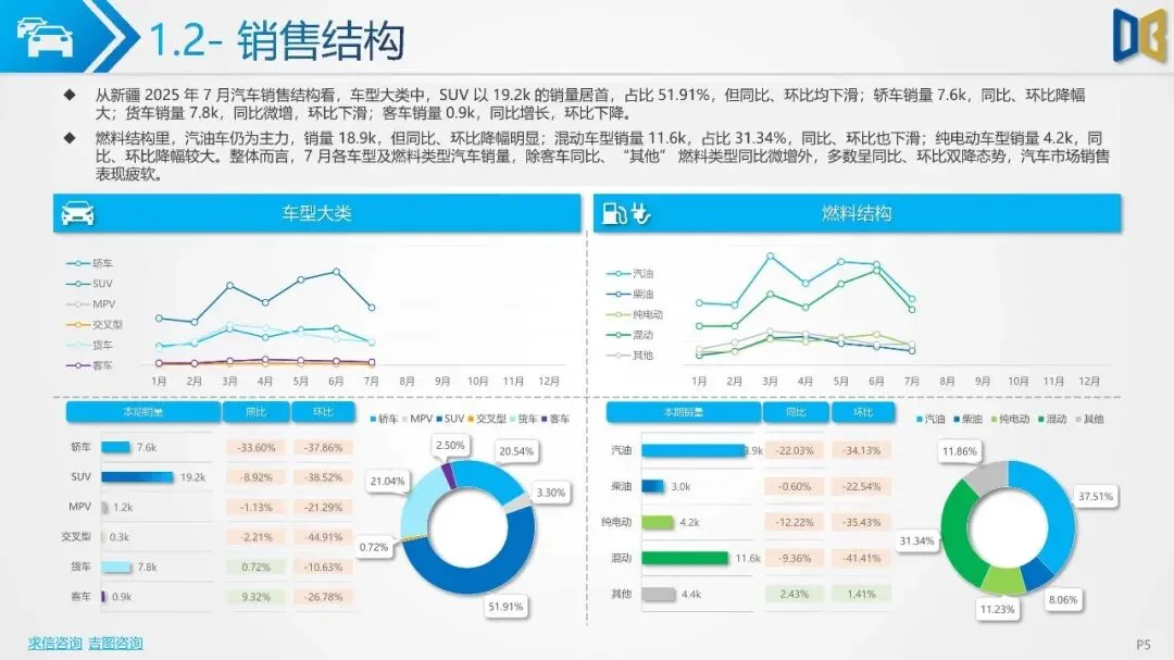 2025年新疆自治区汽车市场分析报告{附下载}