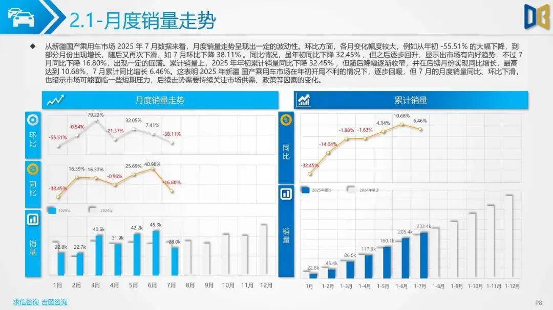 2025年新疆自治区汽车市场分析报告{附下载}
