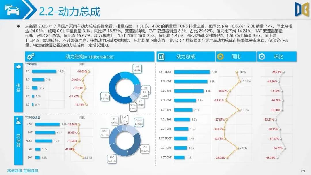 2025年新疆自治区汽车市场分析报告{附下载}