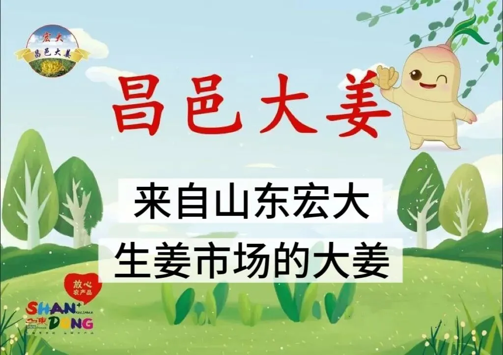 03月22日昌邑各市场生姜价格参考