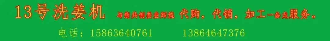 03月22日昌邑各市场生姜价格参考
