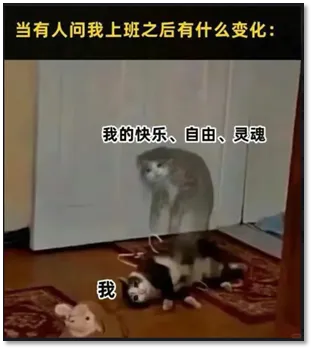 电网杂谈系列:十年营销路路通,十年运维无人知!变电运维真的是电网天坑岗位吗?