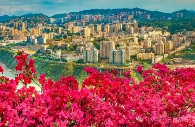 2026年中药材市场展望:整体低迷依旧是主基调,危机中静待春暖花开!