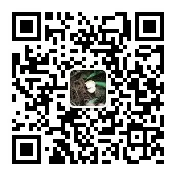农村这2个养殖项目比养鸡强.市场需求也打.单只收入6000元可很多人不敢养
