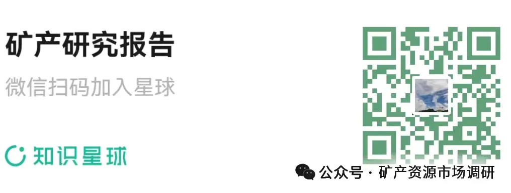 2026年钴矿市场价格展望(30页报告)