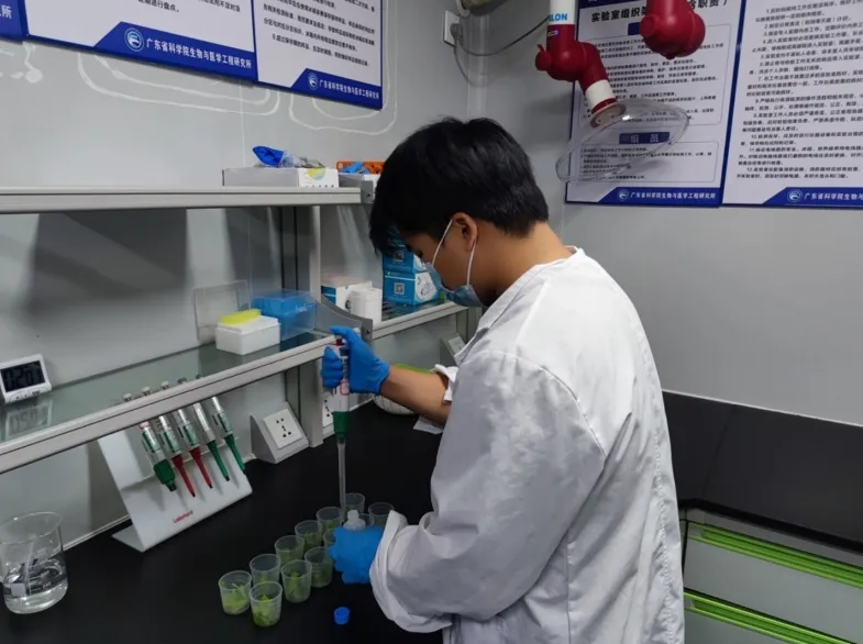 【今日头条】茂名29个市场里番茄、菜心、甘薯叶的抽检结果出炉→