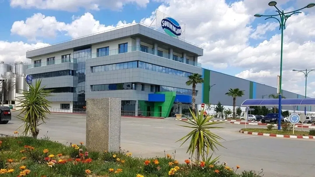 阿尔及利亚企业正积极开拓国际市场,苏曼乳业公司首次出口产品到美国