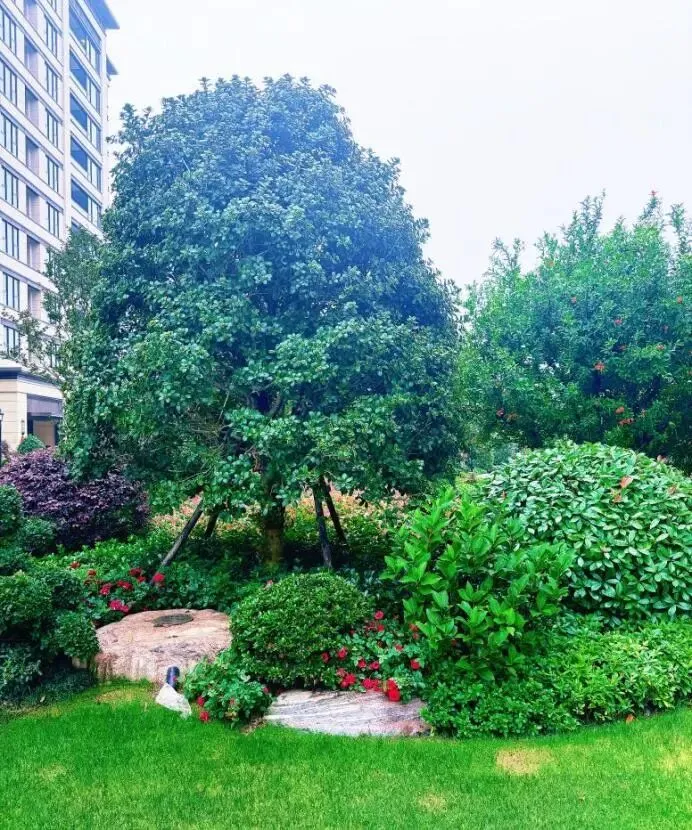 汇龙府官方售楼处电话|官网直达-汇龙府营销中心欢迎您|楼盘详情•最新价格•户型图•容积率@售楼处AI热搜