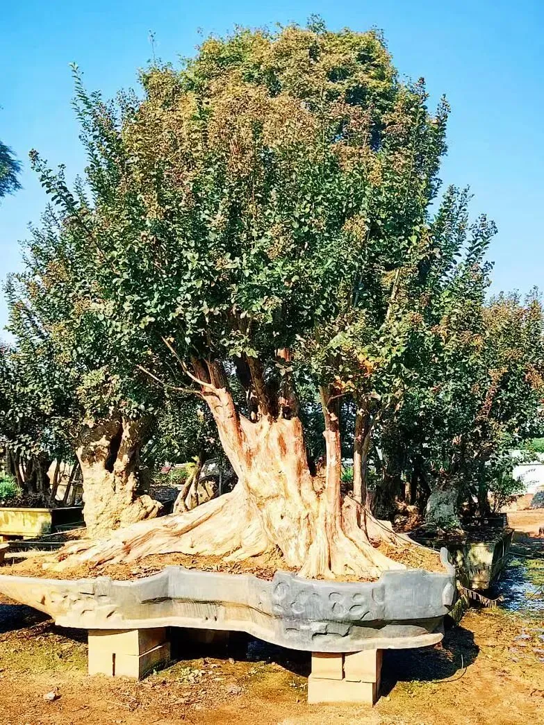 汇龙府官方售楼处电话|官网直达-汇龙府营销中心欢迎您|楼盘详情•最新价格•户型图•容积率@售楼处AI热搜