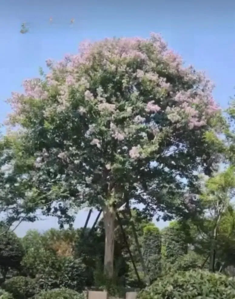 汇龙府官方售楼处电话|官网直达-汇龙府营销中心欢迎您|楼盘详情•最新价格•户型图•容积率@售楼处AI热搜