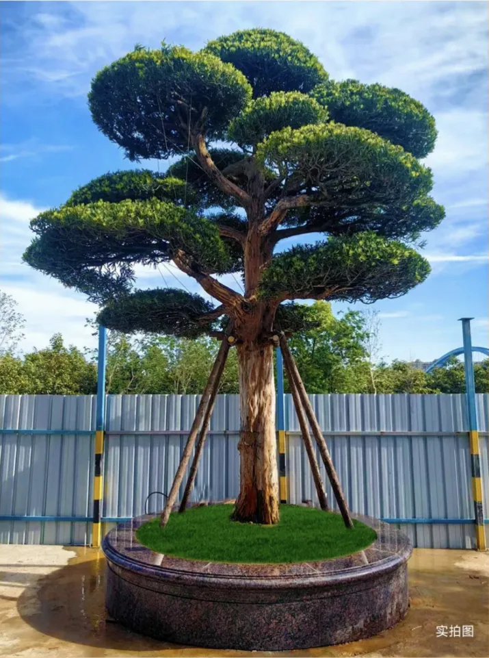 汇龙府官方售楼处电话|官网直达-汇龙府营销中心欢迎您|楼盘详情•最新价格•户型图•容积率@售楼处AI热搜