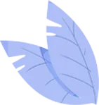 新规 | 市场监管总局2026年第6号公告