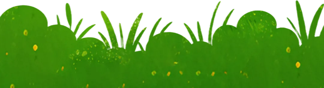 格桑·净土|多重认证拓市场 都兰枸杞走出高原走向世界