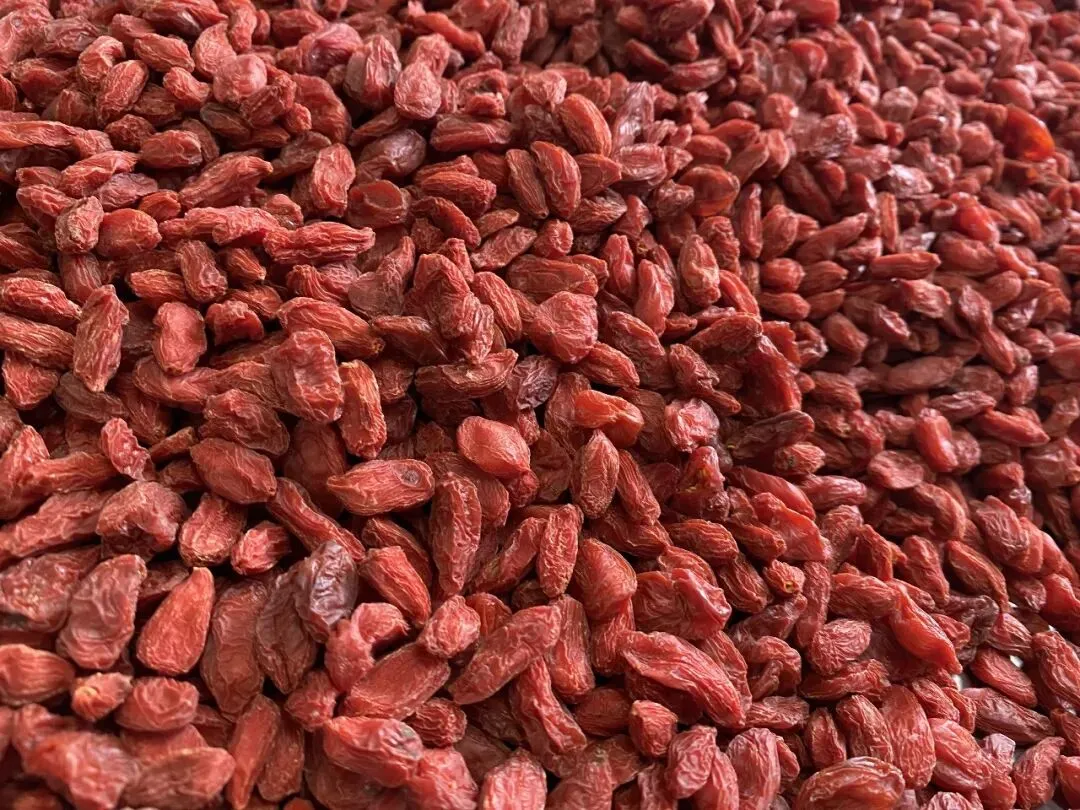 格桑·净土|多重认证拓市场 都兰枸杞走出高原走向世界