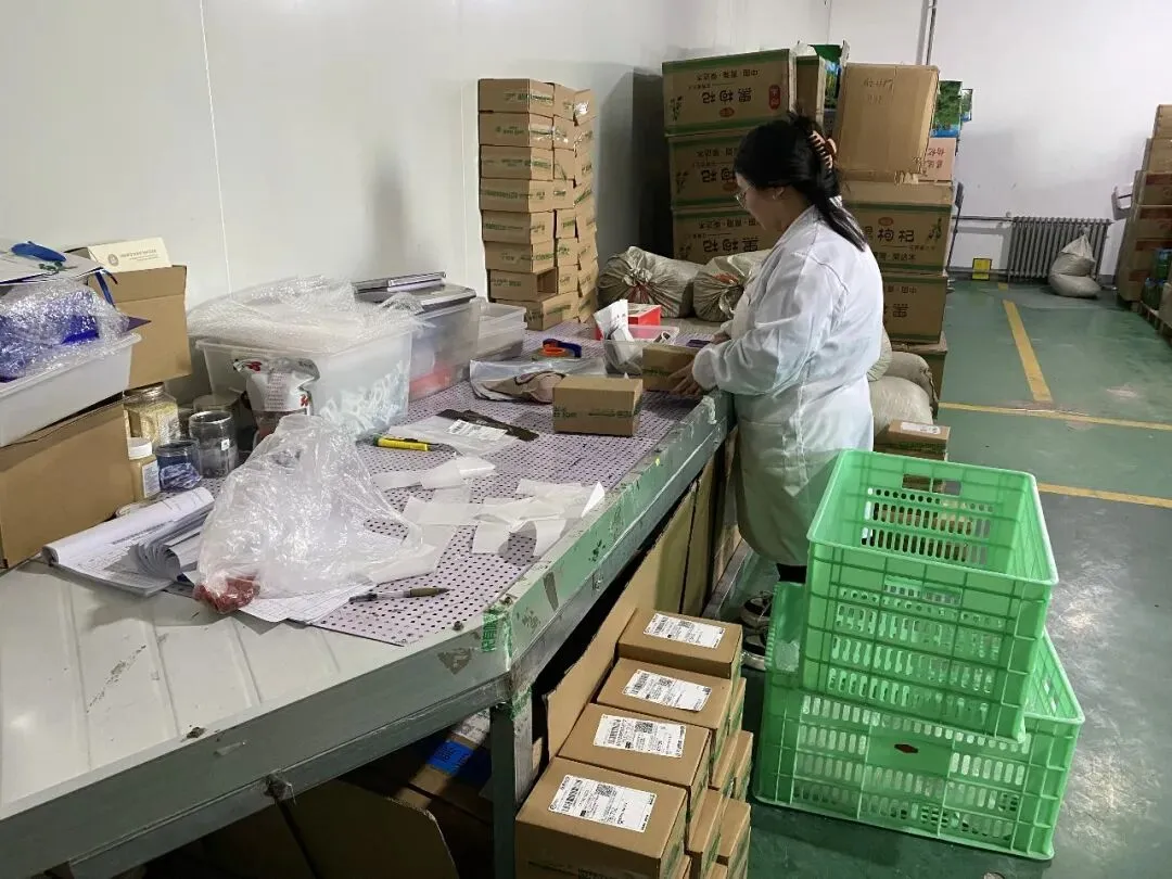 格桑·净土|多重认证拓市场 都兰枸杞走出高原走向世界