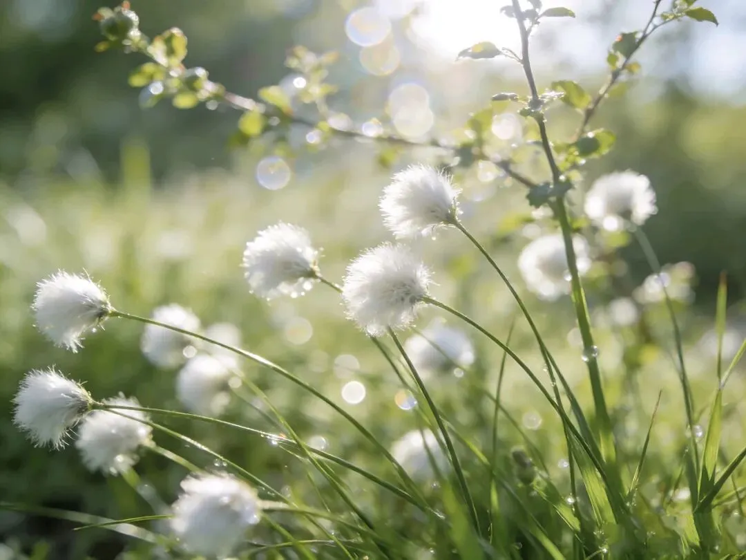 《不懂这个道理,你的营销就是“瞎忙活”》