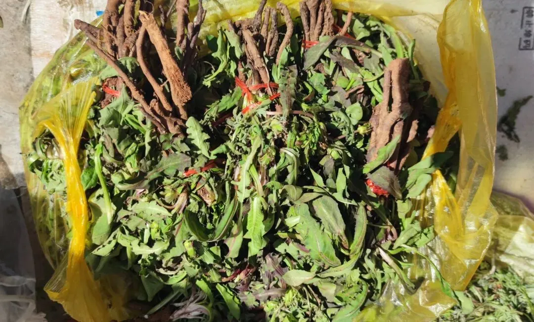 家乡的农贸市场,时令春芽应有尽有,你喜欢这些野菜吗?