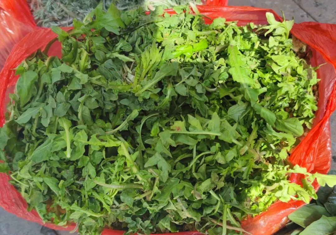 家乡的农贸市场,时令春芽应有尽有,你喜欢这些野菜吗?