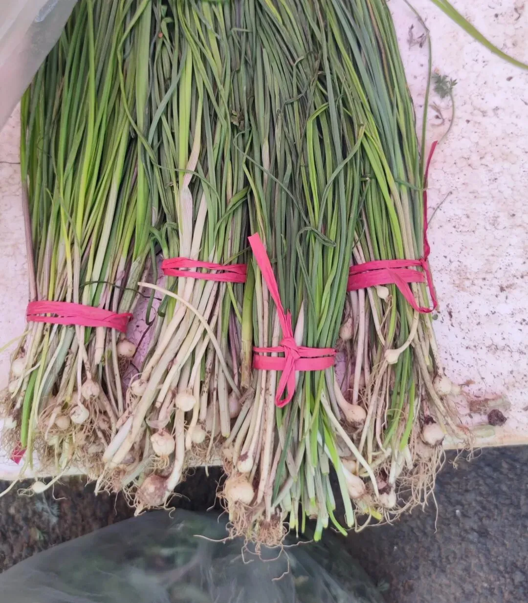 家乡的农贸市场,时令春芽应有尽有,你喜欢这些野菜吗?