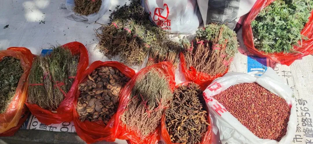 家乡的农贸市场,时令春芽应有尽有,你喜欢这些野菜吗?