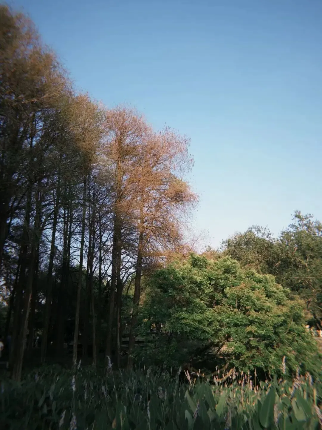 美联储维持利率按兵不动,市场预期年内欧美加息概率上升