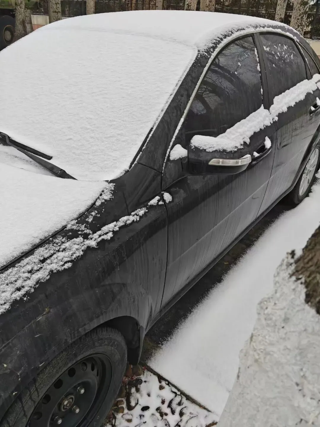 汤原【买卖市场】信息丨3月22日