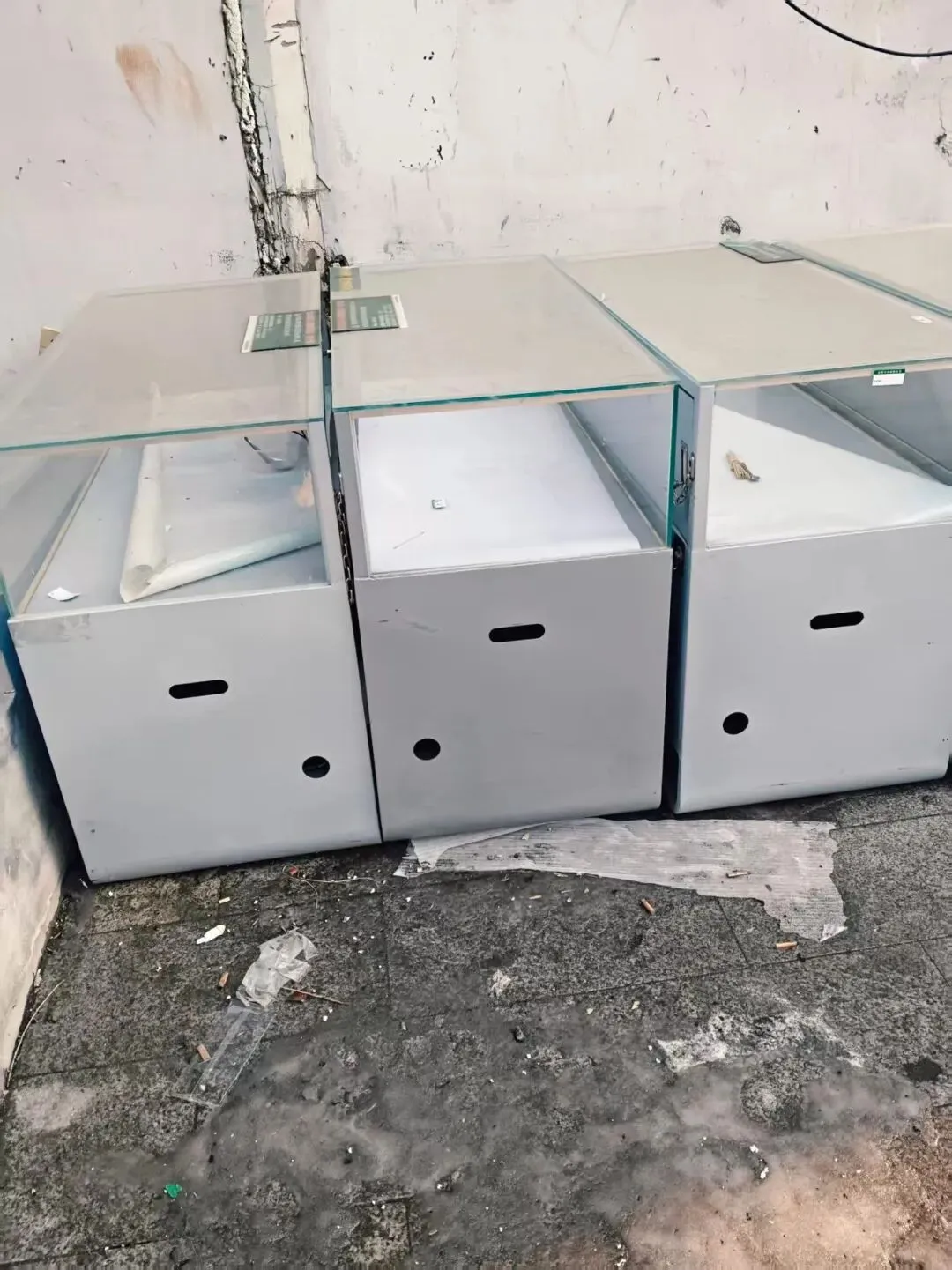 汤原【买卖市场】信息丨3月22日