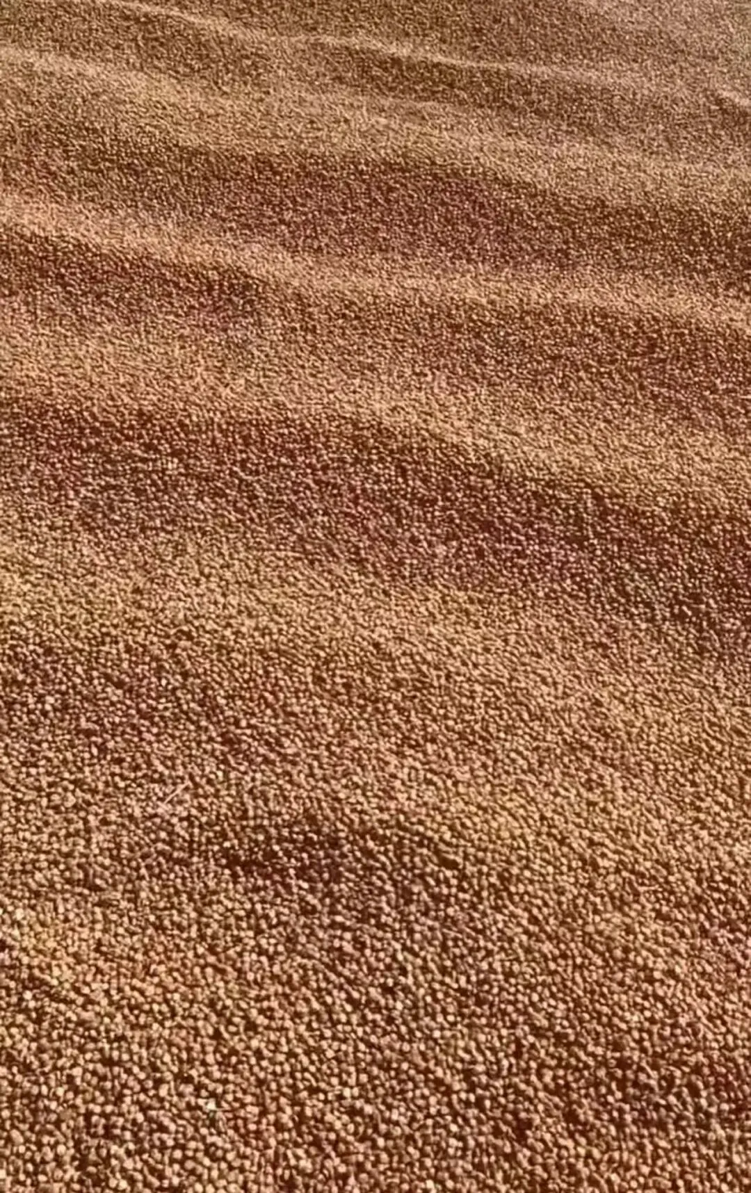 汤原【买卖市场】信息丨3月22日