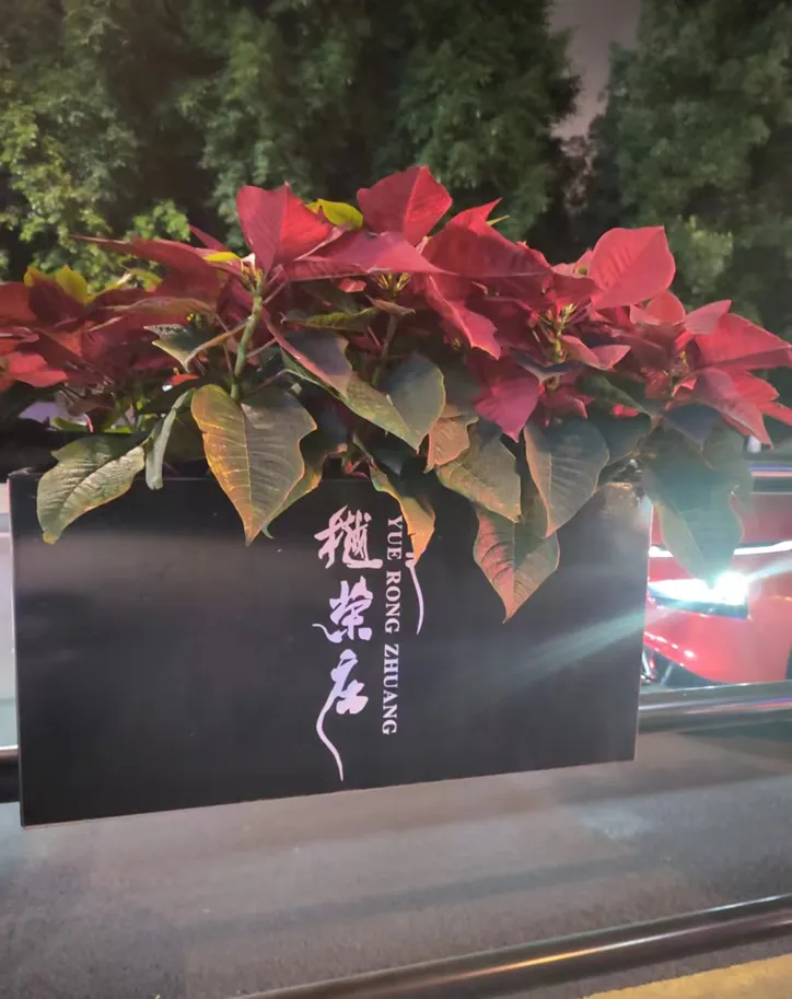 营销人必看:影响客户下单的“五维认知密码”,你破译了几个?