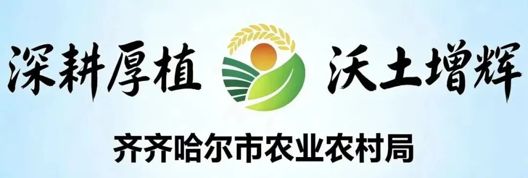 省市联合工作组开展种子市场专项检查行动