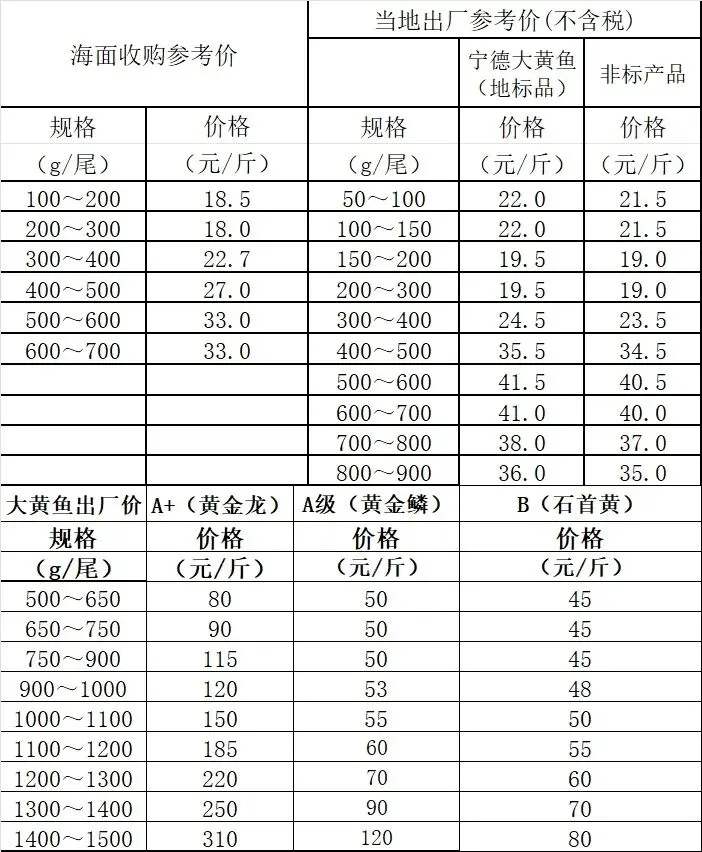 大黄鱼市场行情(2026年03月22日)