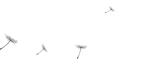 如何看待市场、发展和未来?李强在中国发展高层论坛分享三点想法