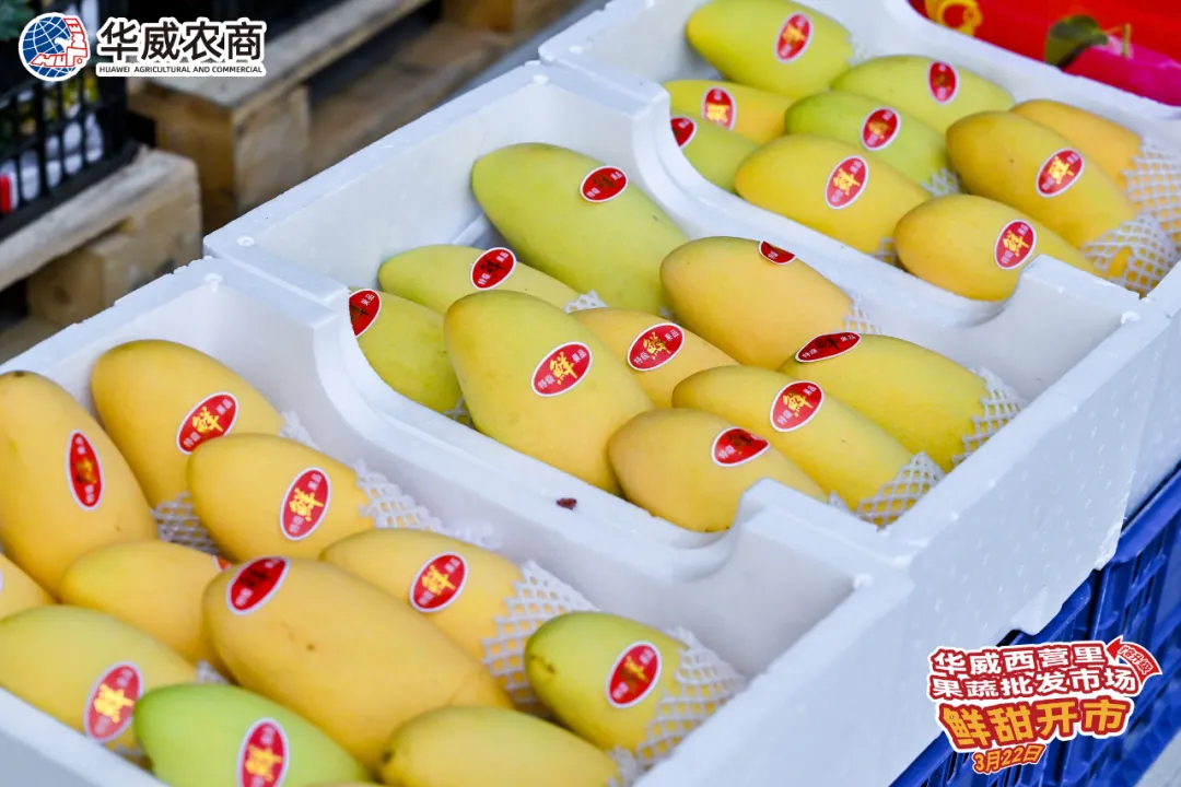 协会动态|福州华威西营里市场果蔬批发区今日盛大开市