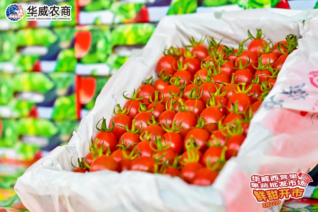 协会动态|福州华威西营里市场果蔬批发区今日盛大开市