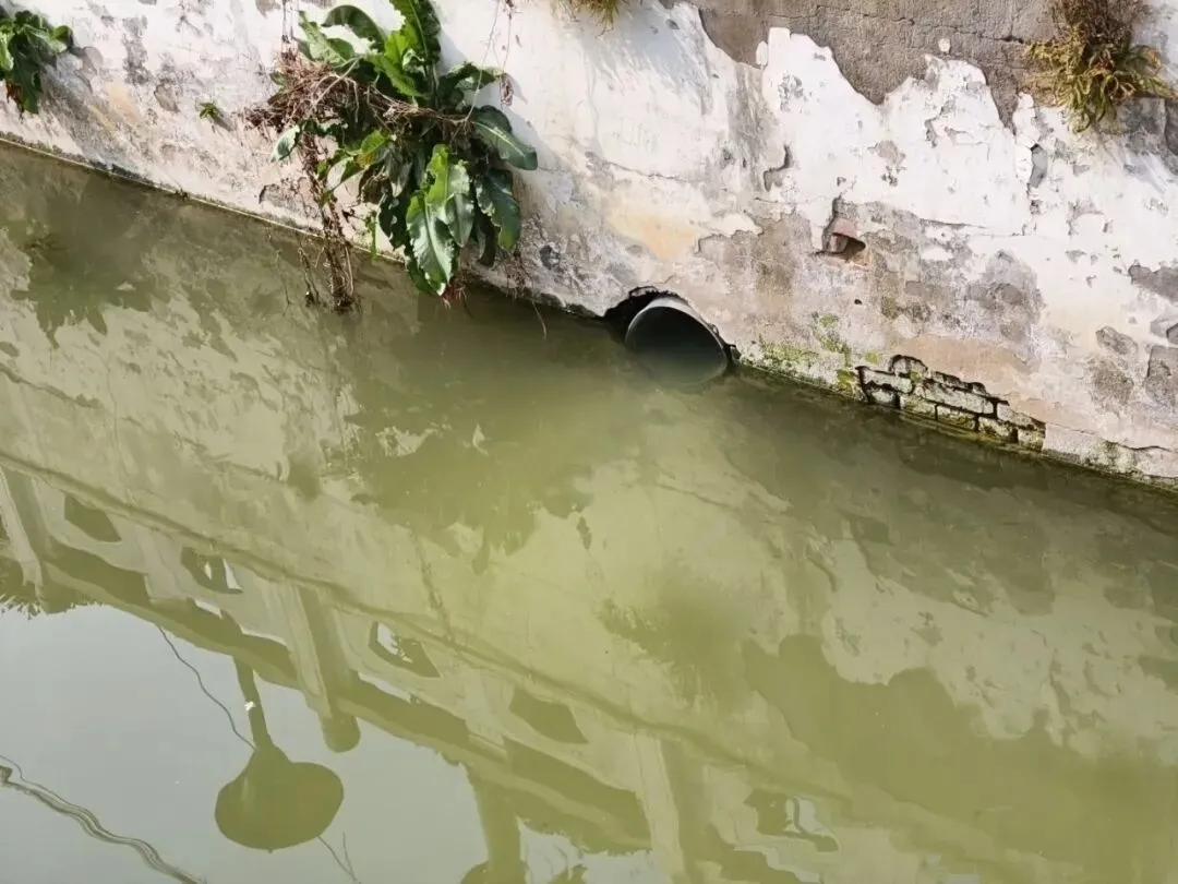 郭猛镇农贸市场北侧河道惊现白色污水!雨水管咋成了排污管?